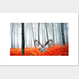 Great Grey Owl in Autumn Posters and Art